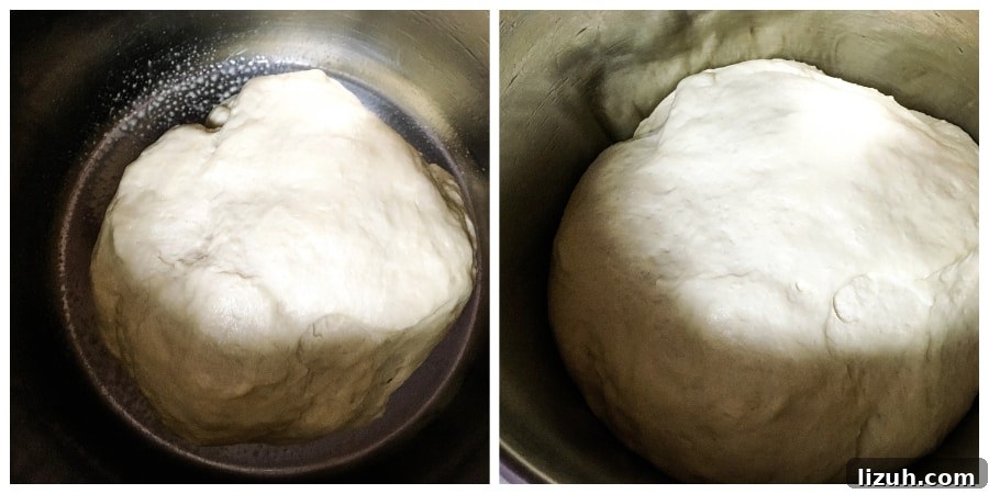 Proof Dough Quickly in an Instant Pot: A Step-by-Step Guide 5 dough rising in the Instant Pot insert pot