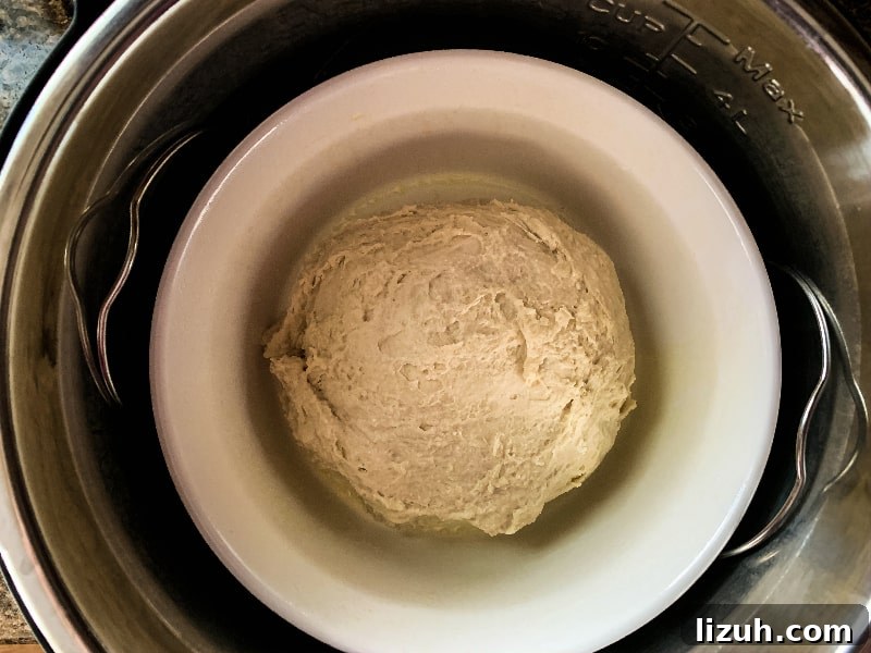 Proof Dough Quickly in an Instant Pot: A Step-by-Step Guide 6 dough proofing in a dish in the Instant Pot