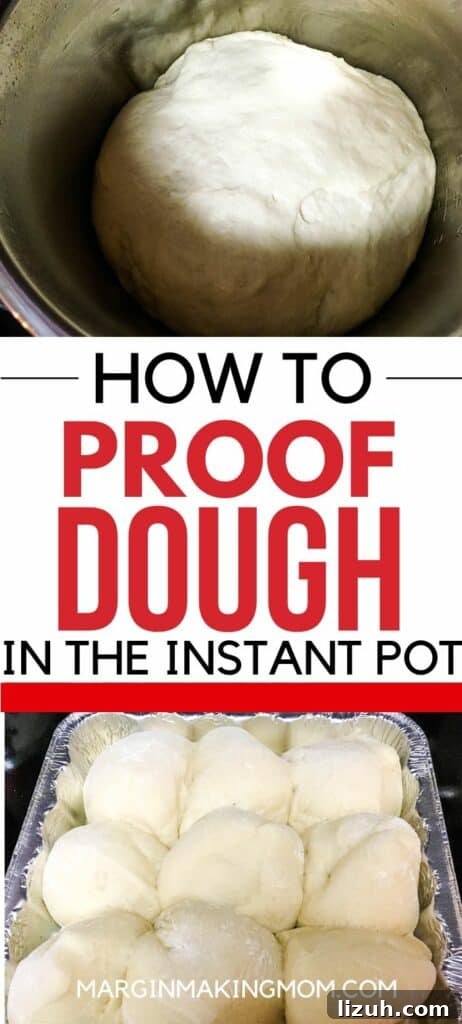 Proof Dough Quickly in an Instant Pot: A Step-by-Step Guide 9 a ball of risen dough in an Instant Pot, as well as a pan of rolls rising before baking