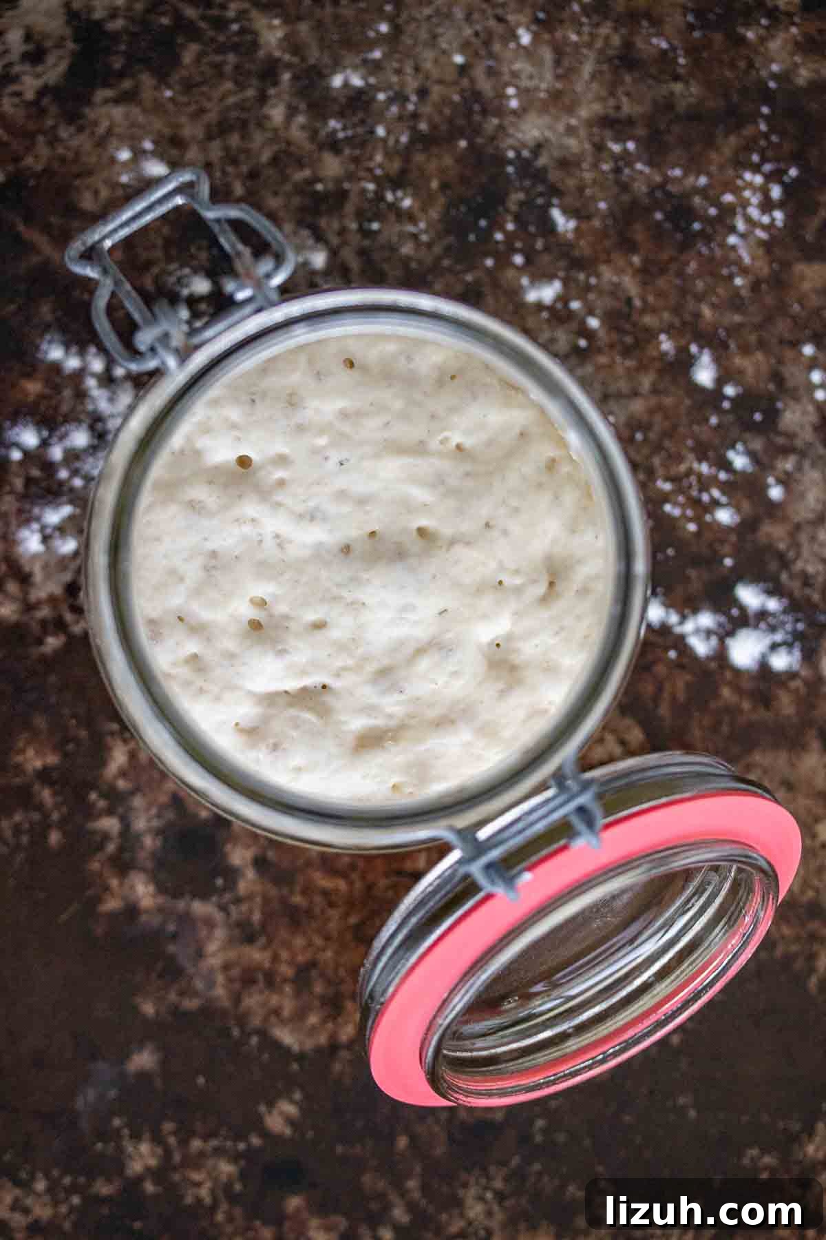 Make a Poolish Starter for Perfect Bread and Pizza Dough 2 A jar of poolish seen from above.