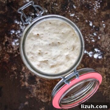 Make a Poolish Starter for Perfect Bread and Pizza Dough 10 A jar with ripe poolish preferment.