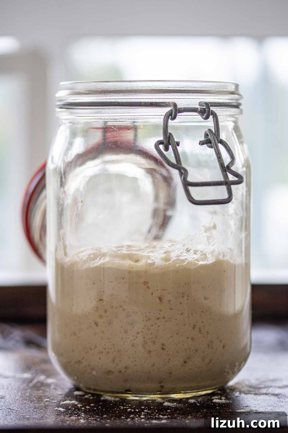 Make a Poolish Starter for Perfect Bread and Pizza Dough 3 A jar of poolish.