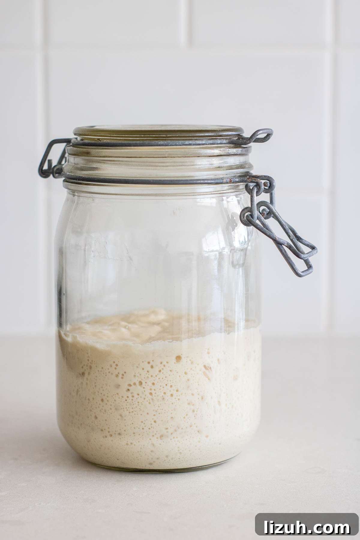 Make a Poolish Starter for Perfect Bread and Pizza Dough 6 A jar of ripe poolish.