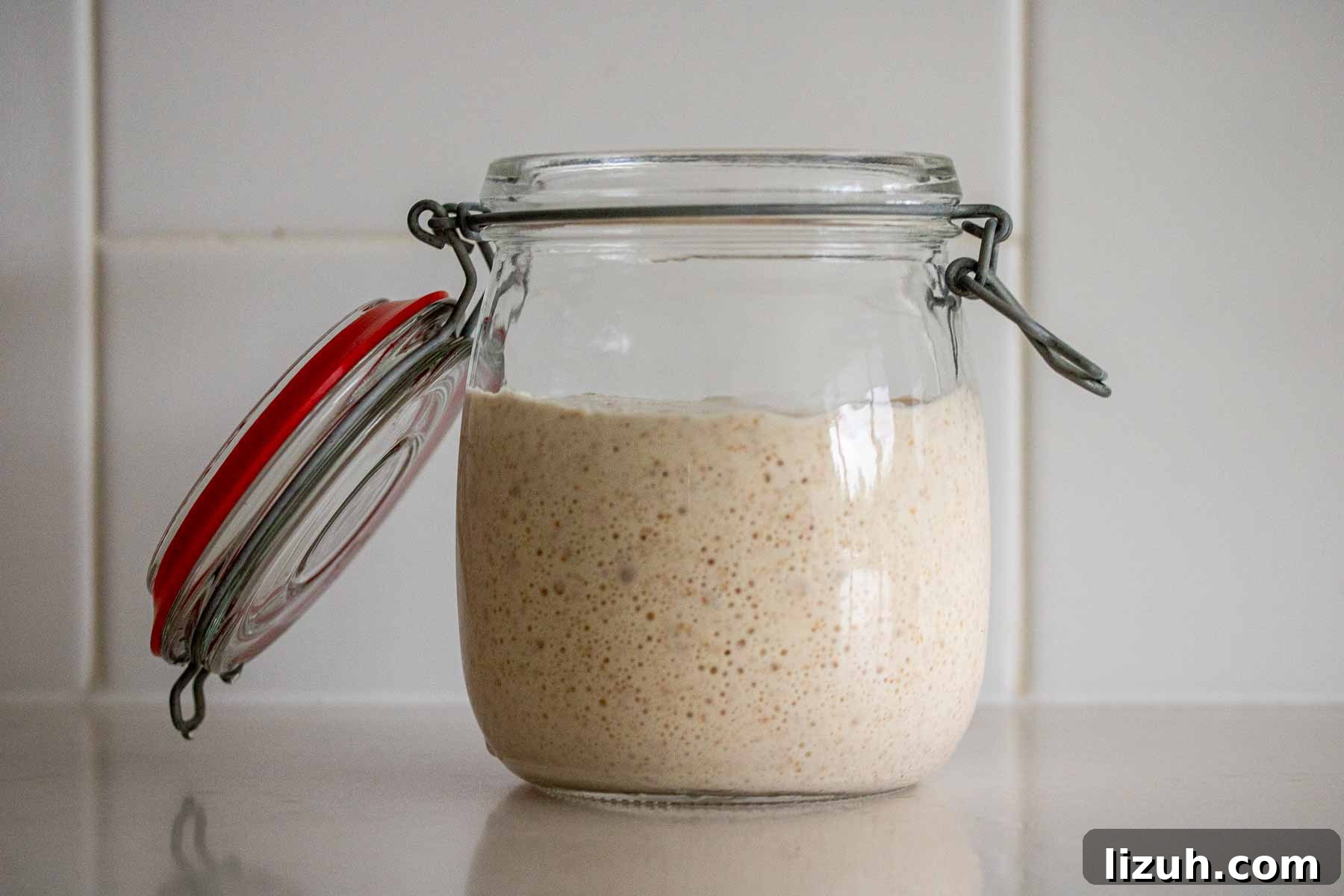 Make a Poolish Starter for Perfect Bread and Pizza Dough 7 A jar with underproofed poolish preferment.