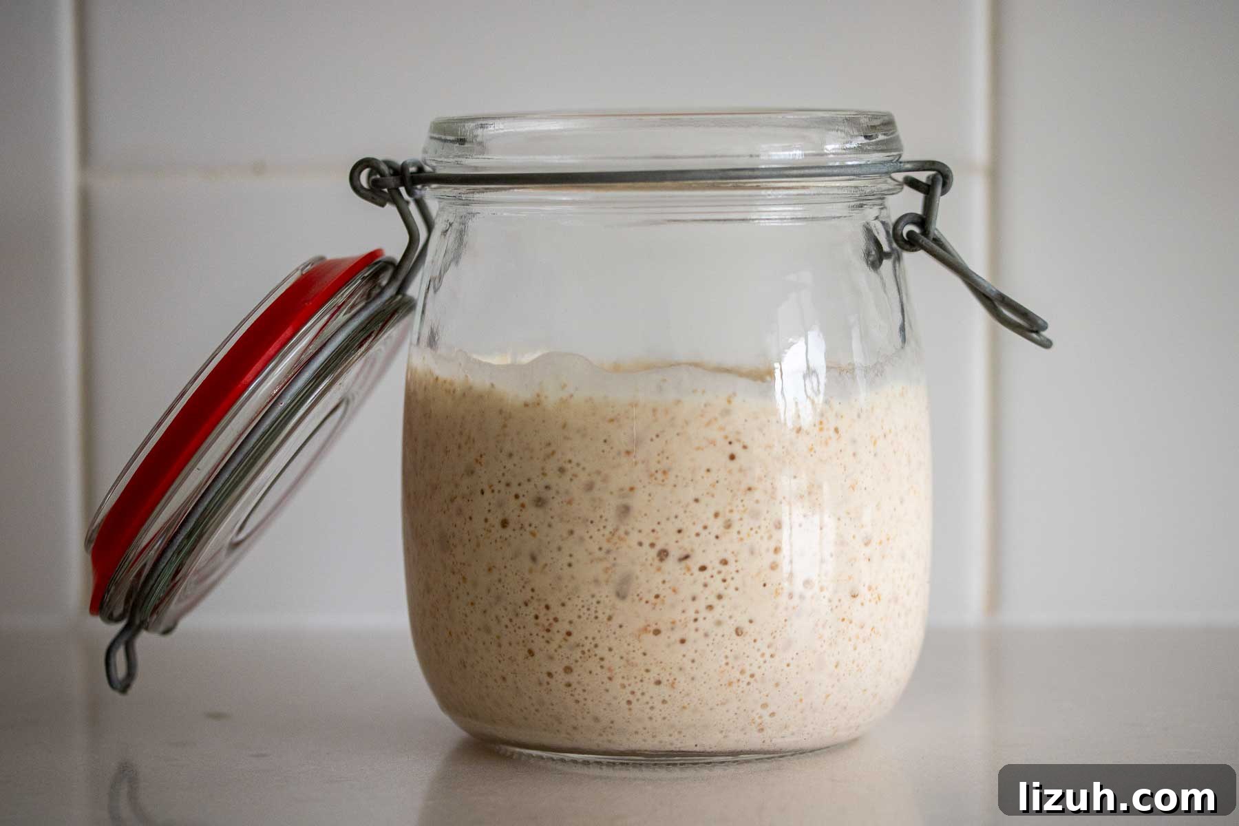 Make a Poolish Starter for Perfect Bread and Pizza Dough 9 A jar with ready to use poolish starter.
