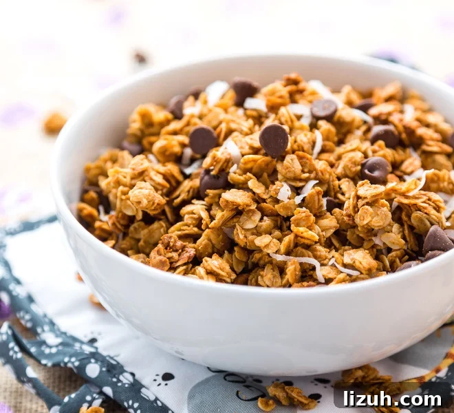 Peanut Butter Chocolate Chip Coconut Granola
