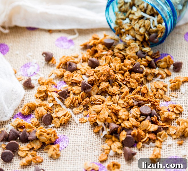Peanut Butter Chocolate Chip Granola