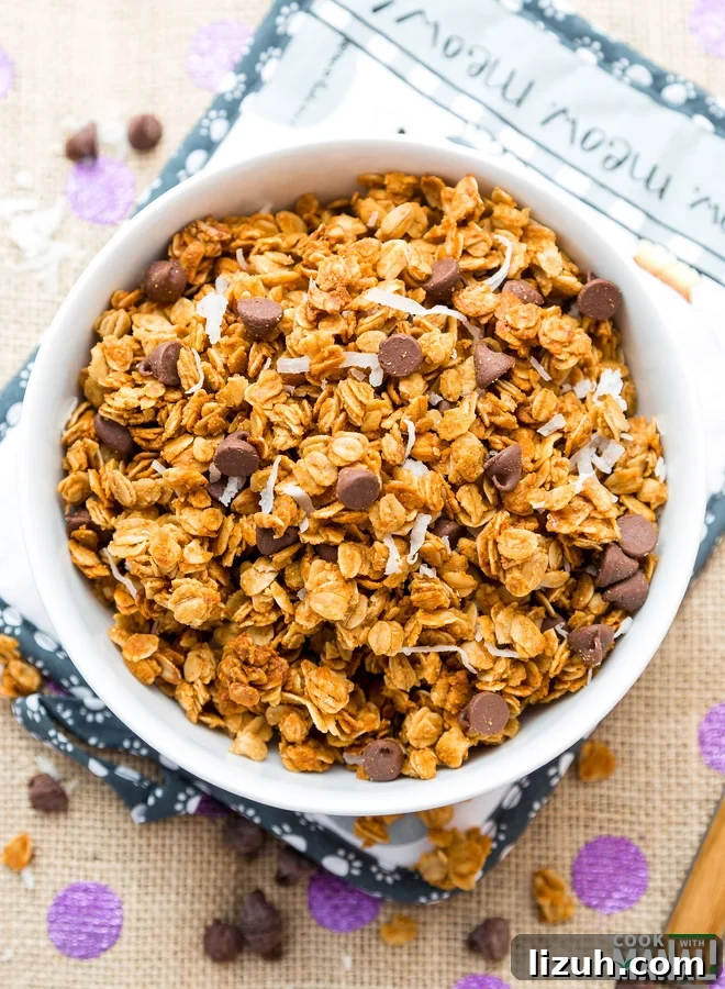 Chocolate Chip Peanut Butter Coconut Granola