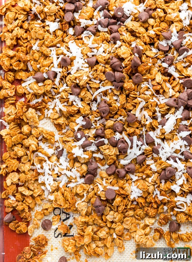 Chocolate Chip Coconut PB Granola