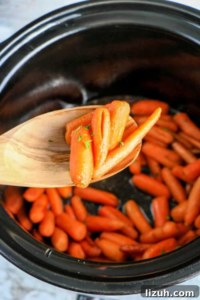 Slow-Cooked Honey-Glazed Carrots for the Crockpot 2 In the cozy embrace of a crockpot, baby carrots simmer to perfection. A wooden spoon lifts the tender morsels, celebrating a simple yet delectable creation.