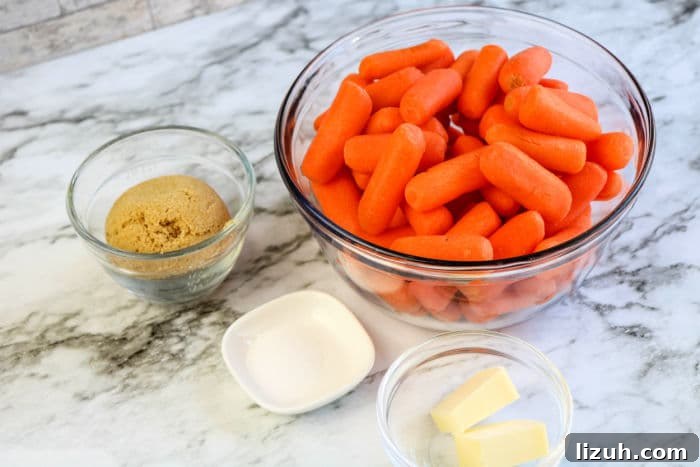 Slow-Cooked Honey-Glazed Carrots for the Crockpot 3 Slow Cooker Carrots