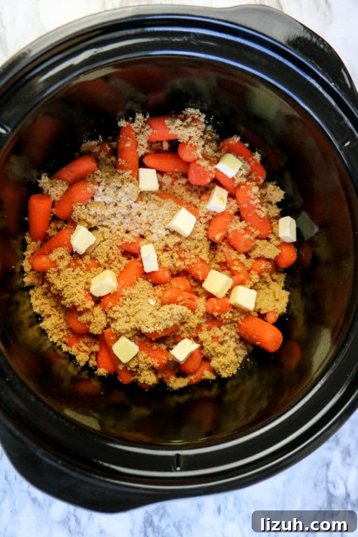Slow-Cooked Honey-Glazed Carrots for the Crockpot 4 crockpot glazed carrots