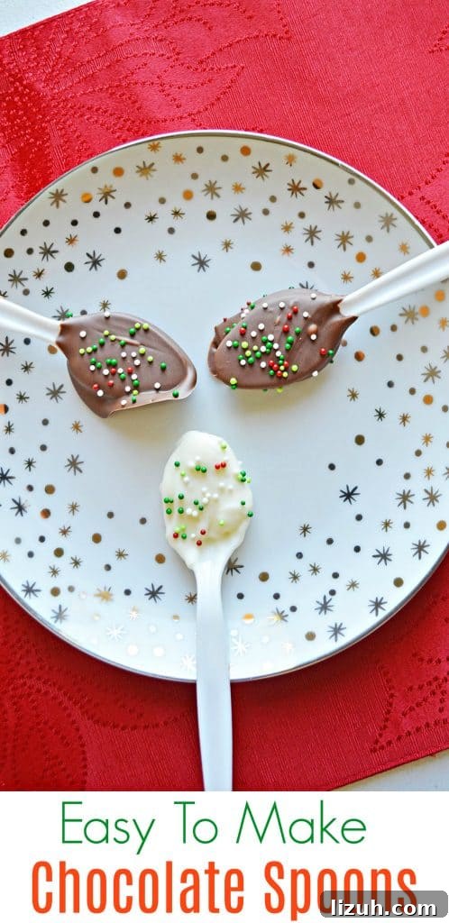 easy To Make Chocolate Spoons easy To Make Chocolate Spoons