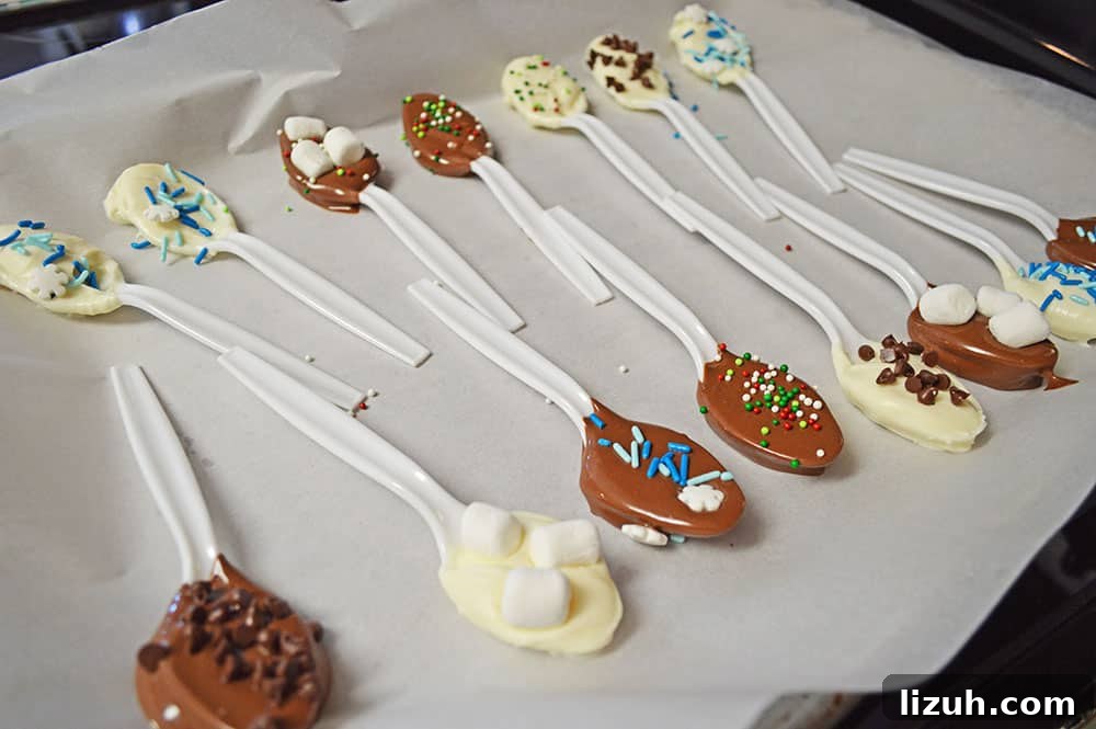 toppings on chocolate spoons toppings on chocolate spoons
