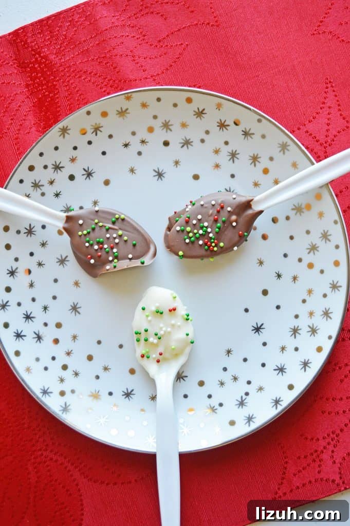 finished chocolate spoons finished chocolate spoons