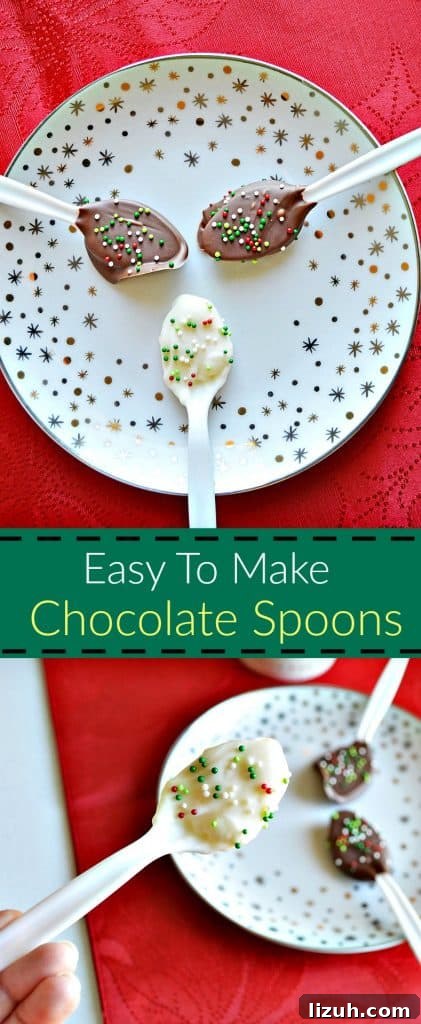 easy To Make Chocolate Spoons display easy To Make Chocolate Spoons display