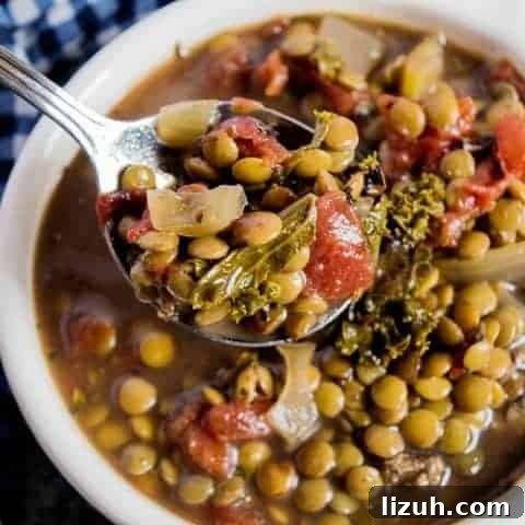 slow cooker lentil soup