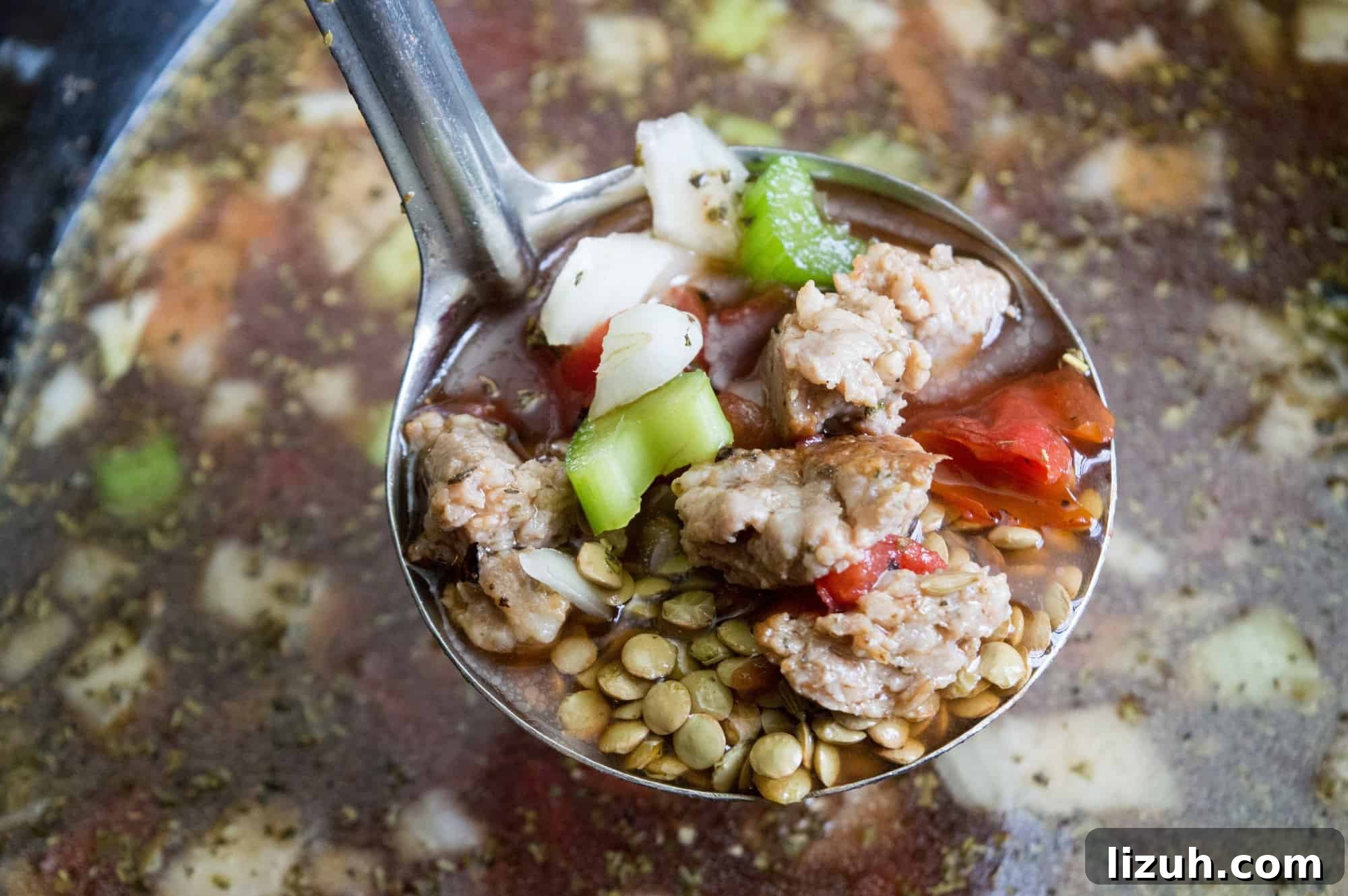 Hearty Slow Cooker Lentil Soup Recipe for Busy Weeknights 8 slow cooker lentil soup