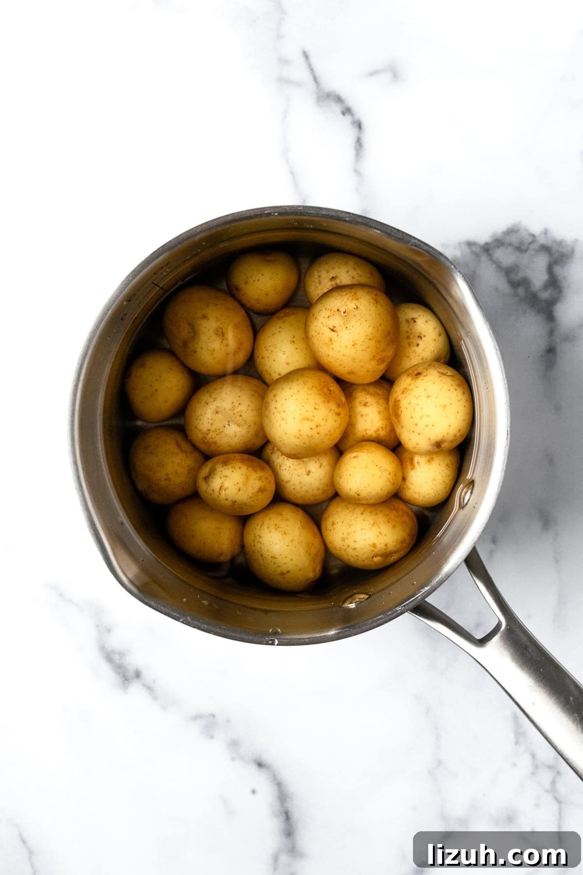 Crispy Baked Potato Bites with Garlic Herb Dip 4 Mini Yellow Potatoes in a Pot.