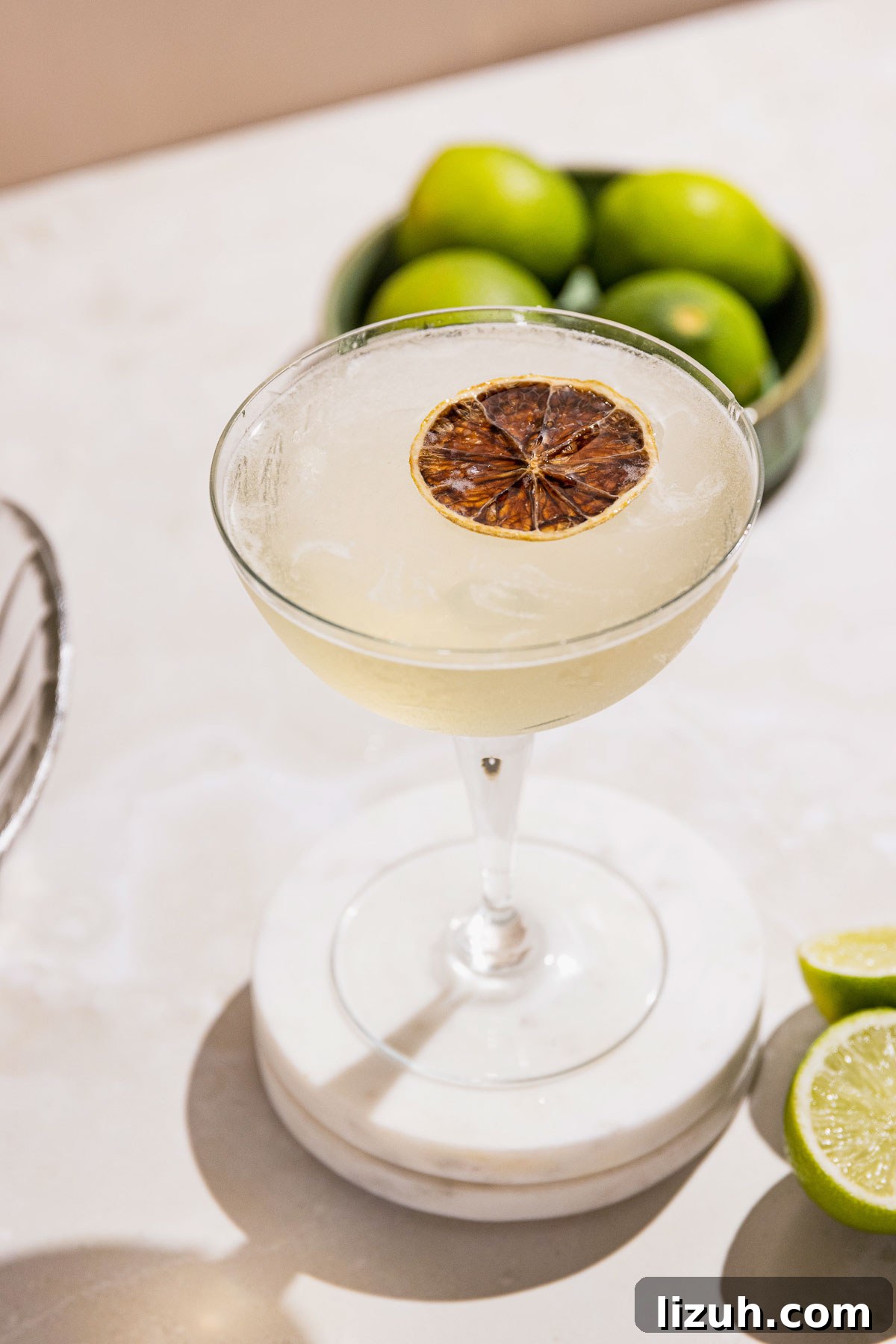 Classic Gimlet Cocktail Recipe: How to Make the Perfect Gimlet 2 Gimelet cocktail from the top in a coupe glass with a dehydrated lime slice for garnish.