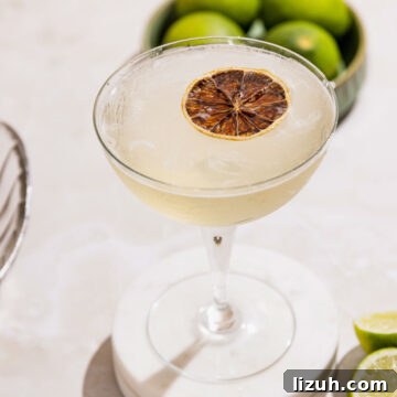 Classic Gimlet Cocktail Recipe: How to Make the Perfect Gimlet 11 Simple gimlet cocktail garnished with dried lemon in a coupe glass.