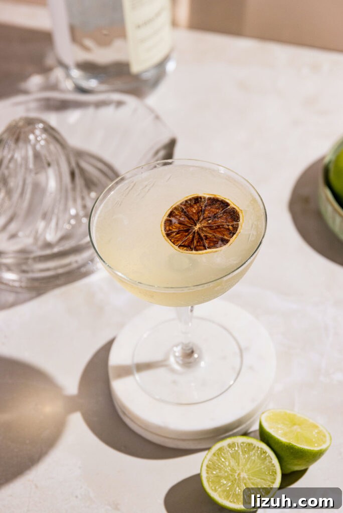Classic Gimlet Cocktail Recipe: How to Make the Perfect Gimlet 9 Overhead shot of the finished cocktail recipe.