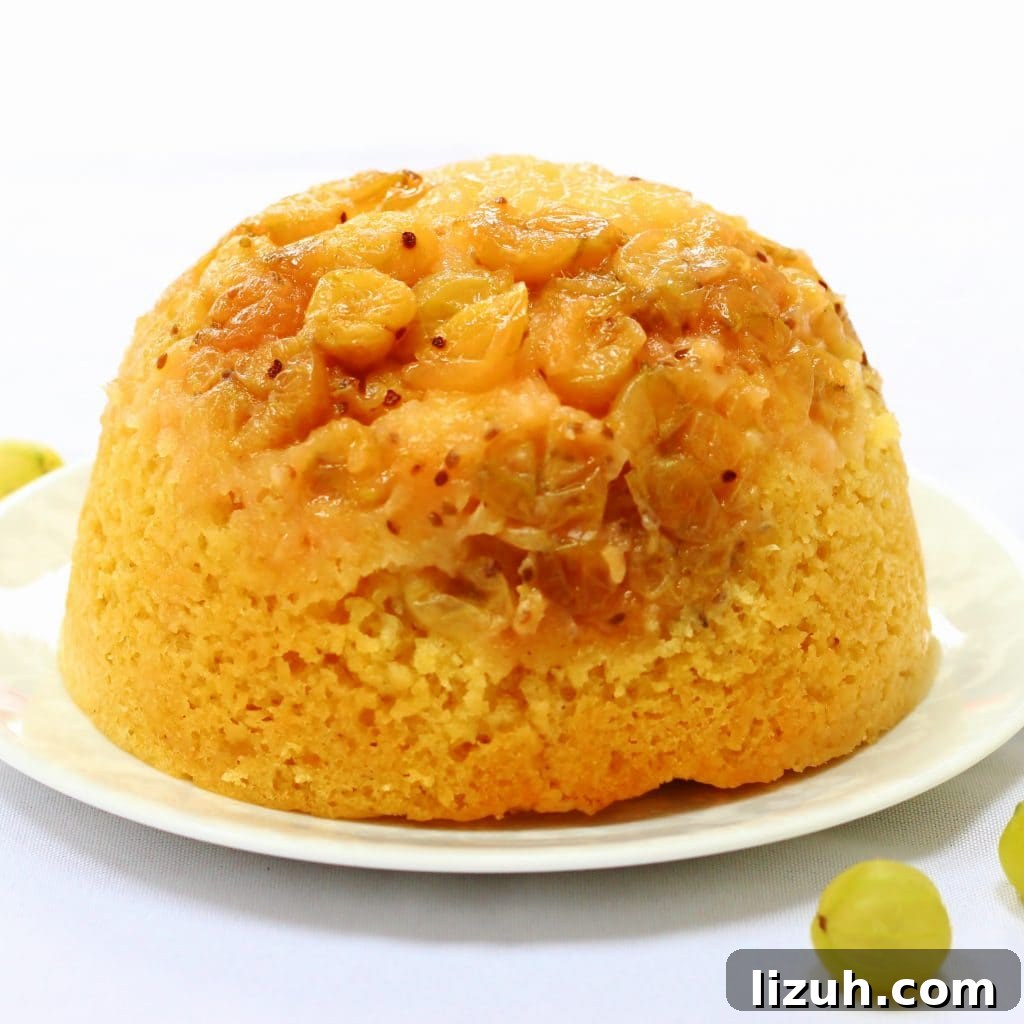 Whole slow cooker gooseberry steamed sponge pudding