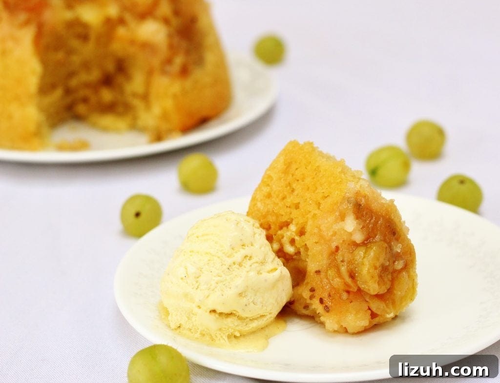 Plate of slow cooker gooseberry steamed sponge pudding with ice cream