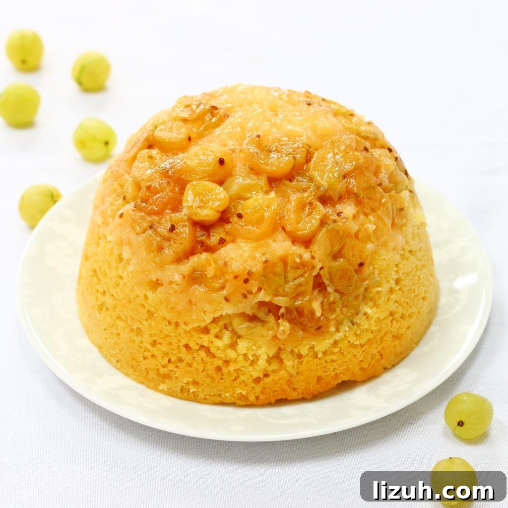 Slow cooker gooseberry steamed sponge pudding