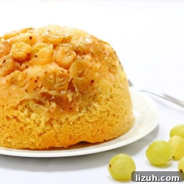 Slow cooker steamed gooseberry pudding