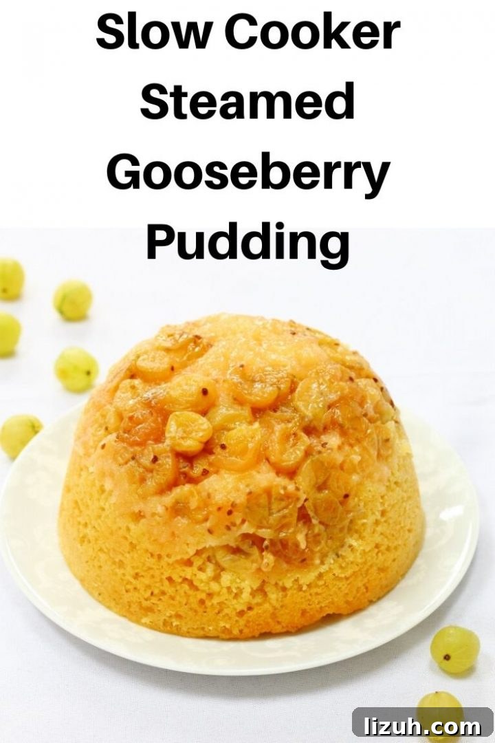 Steamed gooseberry pudding pin image
