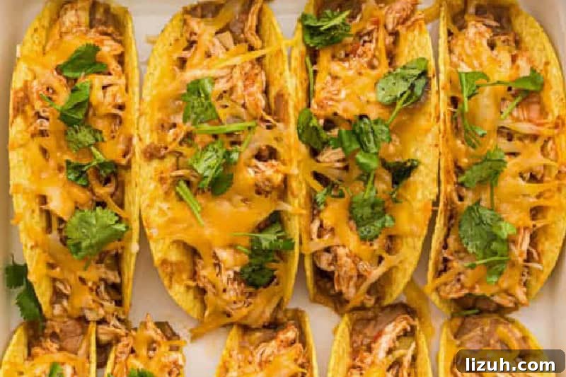 top-down view of the Baked Chicken Tacos.