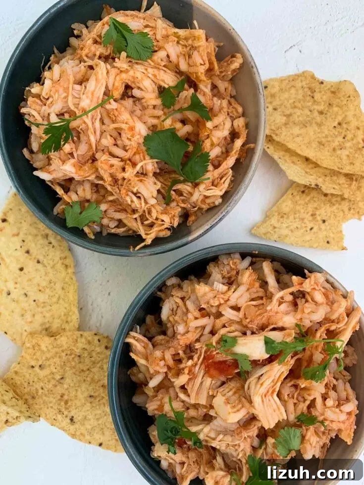 31 High-Protein Slow Cooker Recipes for Meal Prep and Weight Loss 12 salsa chicken and rice