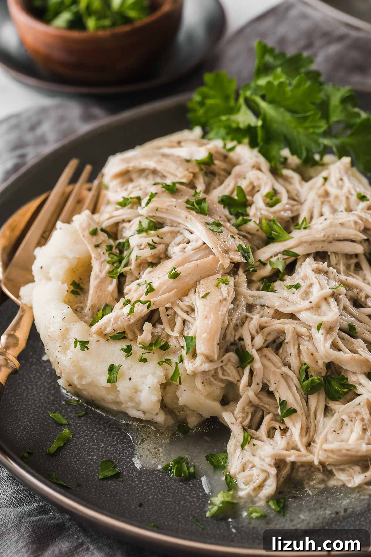 31 High-Protein Slow Cooker Recipes for Meal Prep and Weight Loss 14 creamy chicken