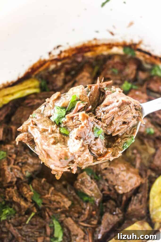 31 High-Protein Slow Cooker Recipes for Meal Prep and Weight Loss 16 London broil with ranch dressing