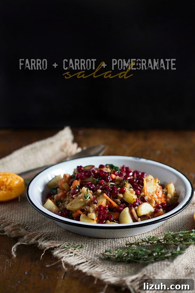 This farro carrot pomegranate salad is the perfect healthy side dish. It's packed full of vegetables and dressed with a simple squeeze of orange.