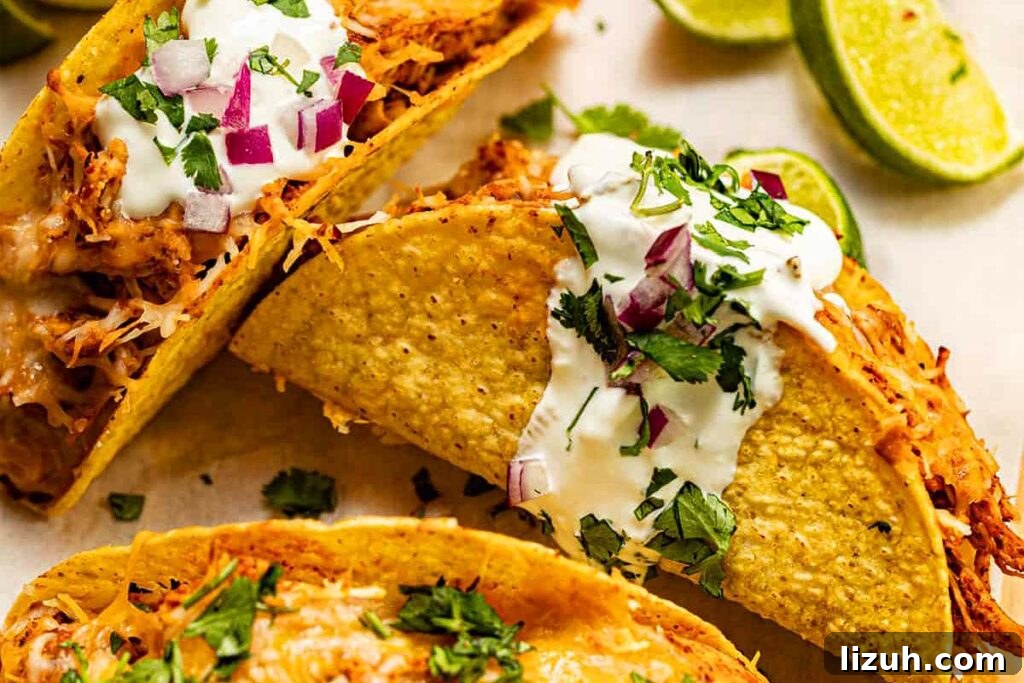 27 Delicious Taco Recipes for Any Night of the Week 9 Tacos on a plate.