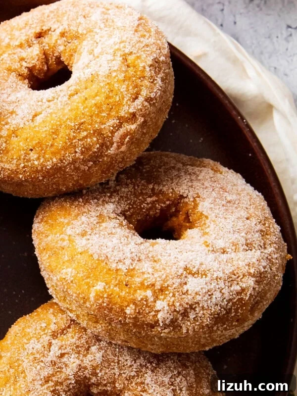 baked pumpkin donuts arranged on a plate are soft and moist with plenty of pumpkin spice flavor