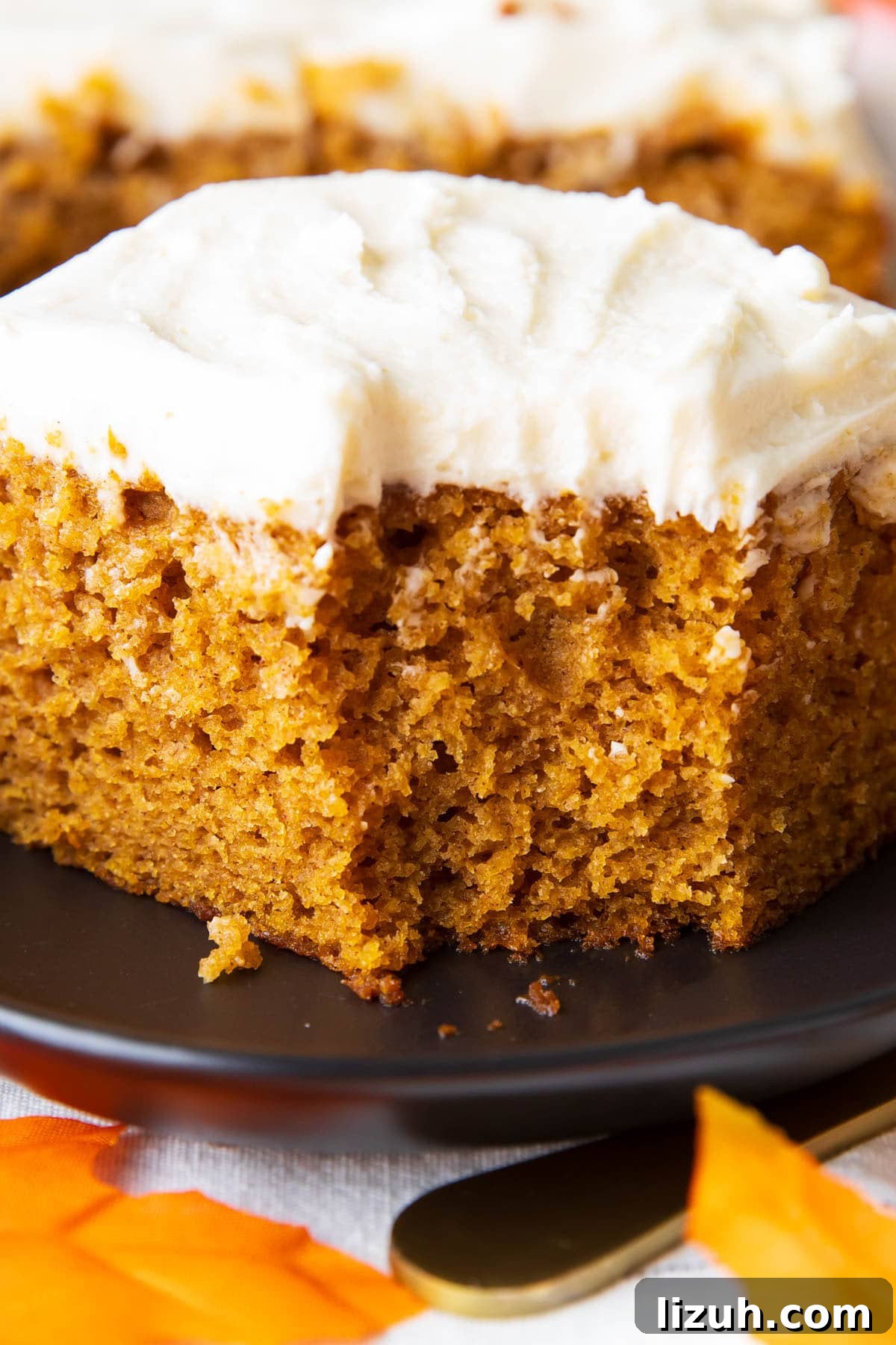 Thick ’n creamy cream cheese frosting tops this pumpkin cake recipe