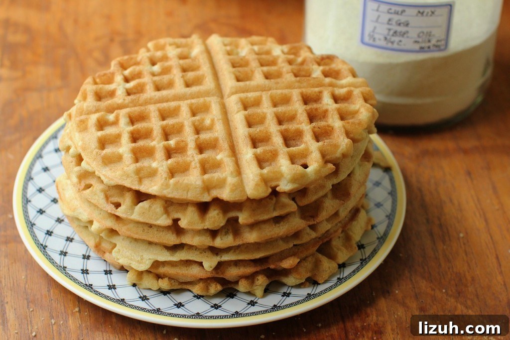 Gluten-Free Pancake Mix for Camping: Make-Ahead Recipe Guide 6 Waffles made from homemade gluten free pancake mix