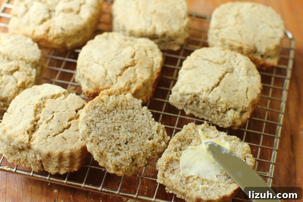 Gluten-Free Pancake Mix for Camping: Make-Ahead Recipe Guide 8 Biscuits made from homemade gluten free pancake mix