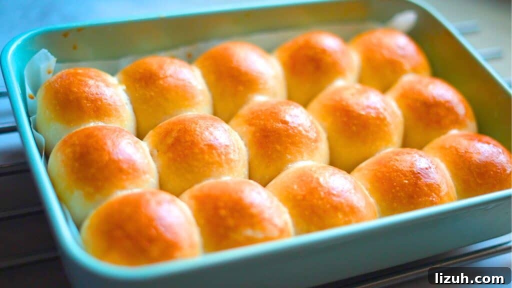 Fluffy Sourdough Dinner Rolls Recipe for Soft, Tangy Bread 2 soft sourdough dinner rolls recipe