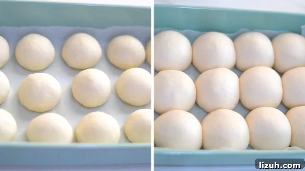 Fluffy Sourdough Dinner Rolls Recipe for Soft, Tangy Bread 6 proofing sourdough dinner rolls