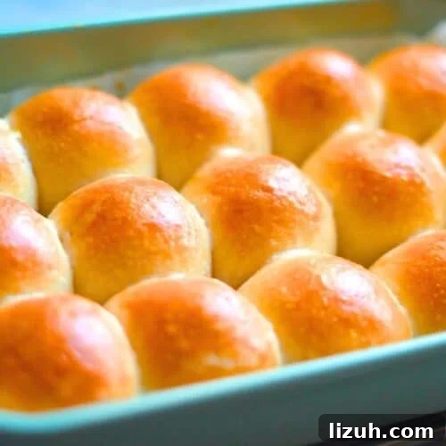 Fluffy Sourdough Dinner Rolls Recipe for Soft, Tangy Bread 10 soft sourdough dinner rolls recipe
