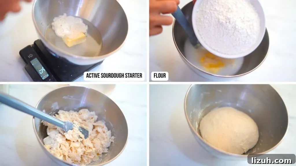 Fluffy Sourdough Dinner Rolls Recipe for Soft, Tangy Bread 4 sourdough bread rolls ingredients