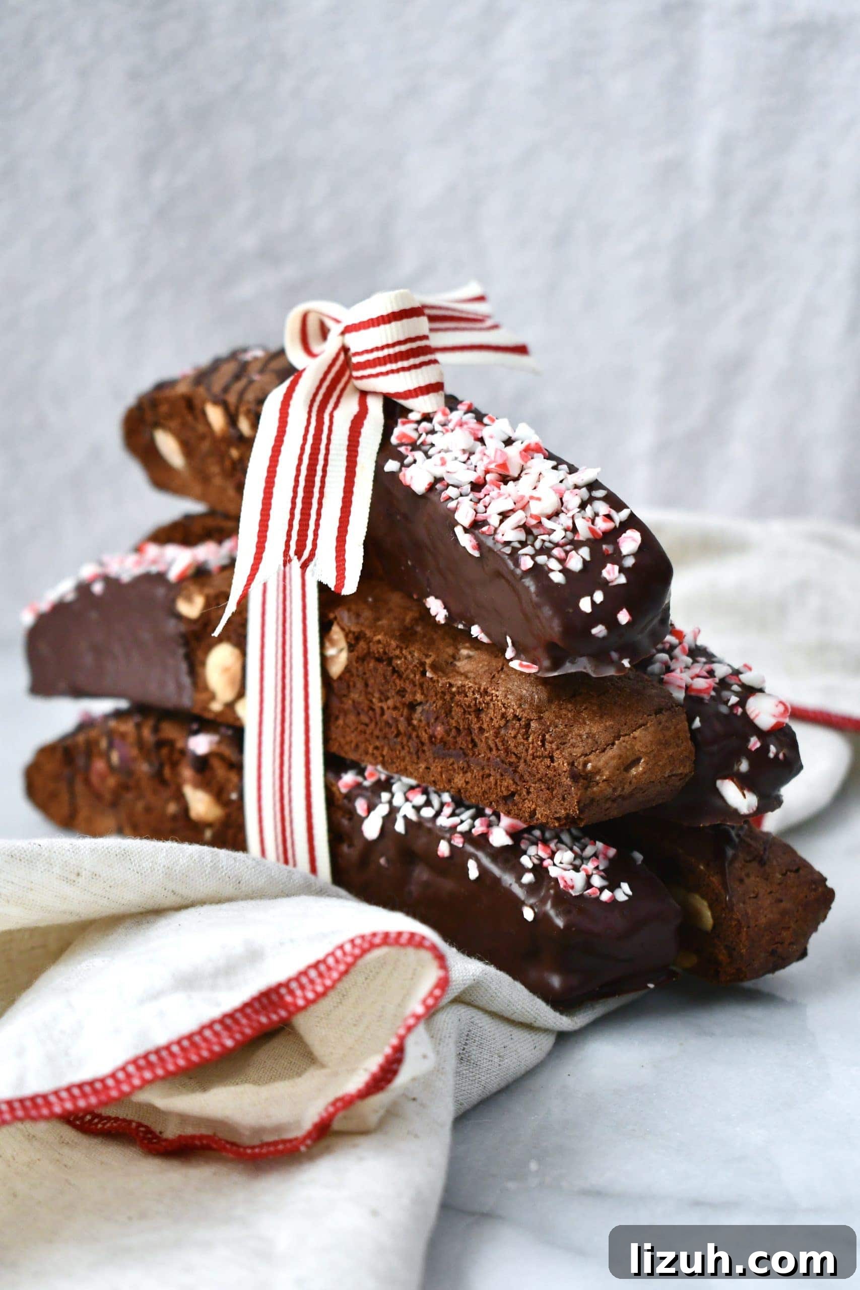 Chocolate Hazelnut Biscotti with Peppermints