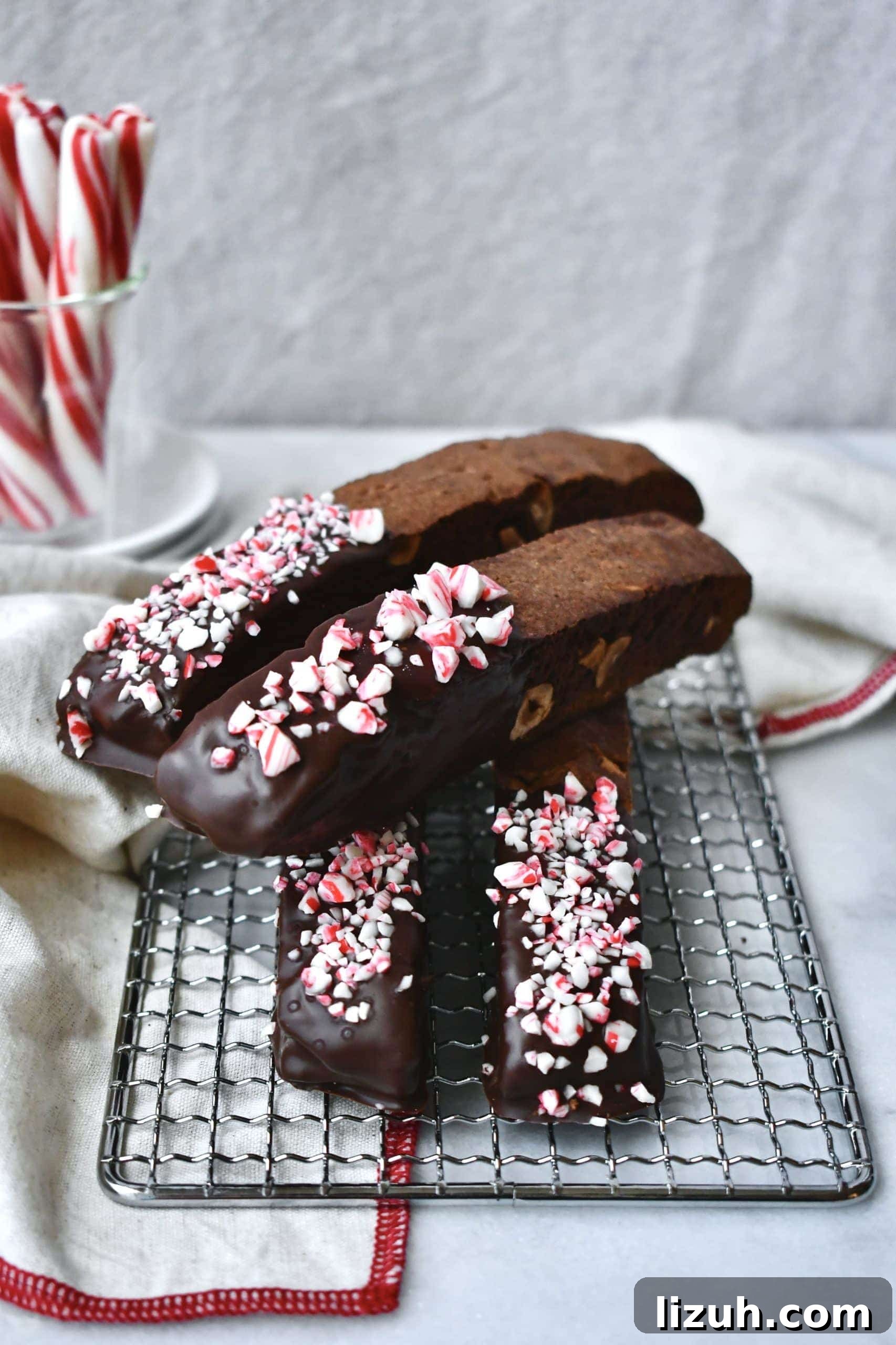 Chocolate Hazelnut Biscotti with Peppermints