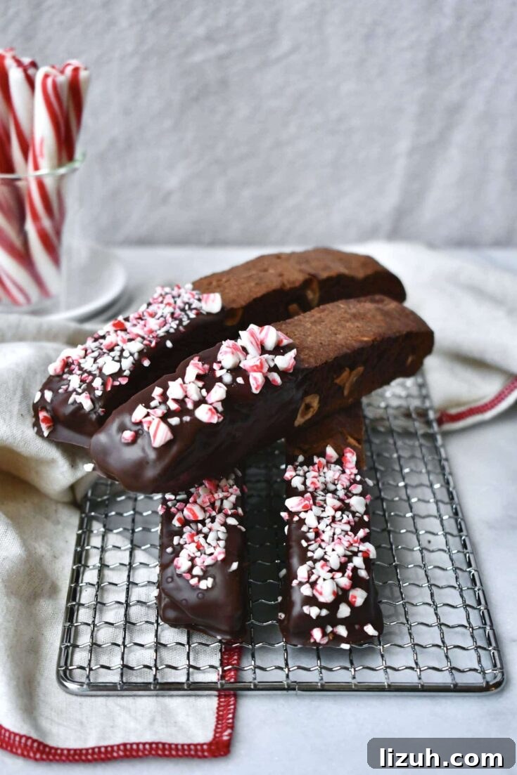 Chocolate Hazelnut Biscotti with Peppermints
